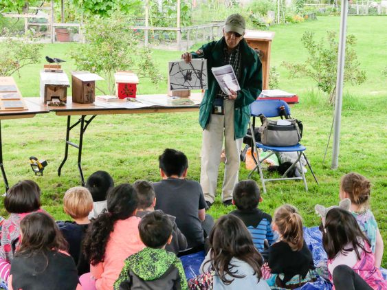 Colony Farm Stories Under the Stars