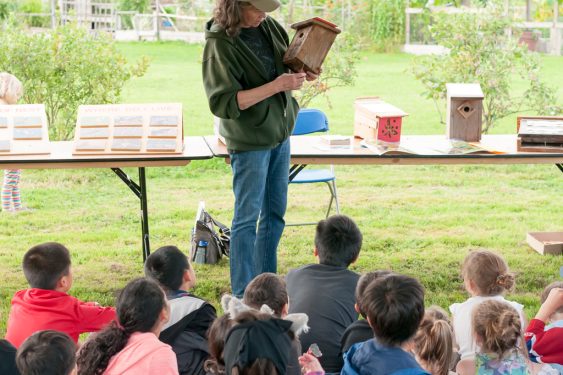 Colony Farm Stories Under the Stars