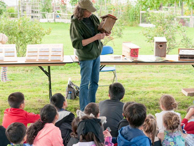 Colony Farm Stories Under the Stars