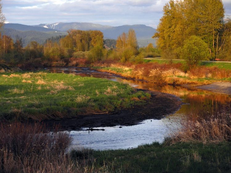 DeBoville Slough, late summer – David Mounteney