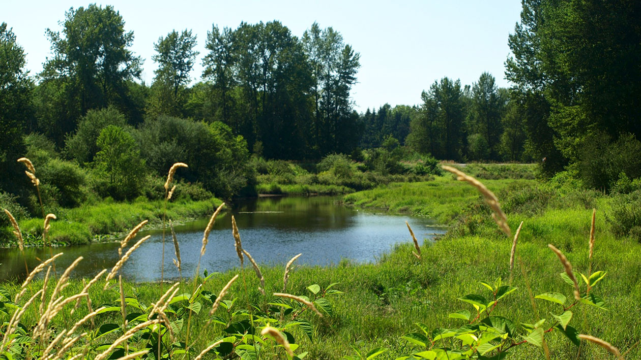 DeBoville Slough