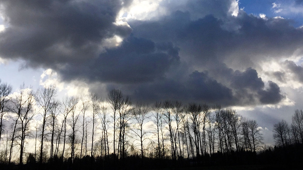 DeBoville Slough