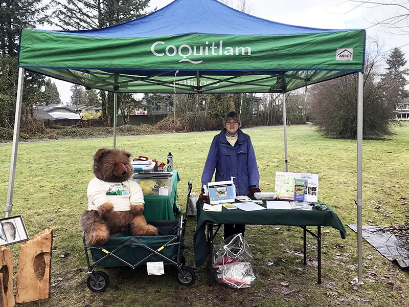Removing Invasive Plants-Como Lake